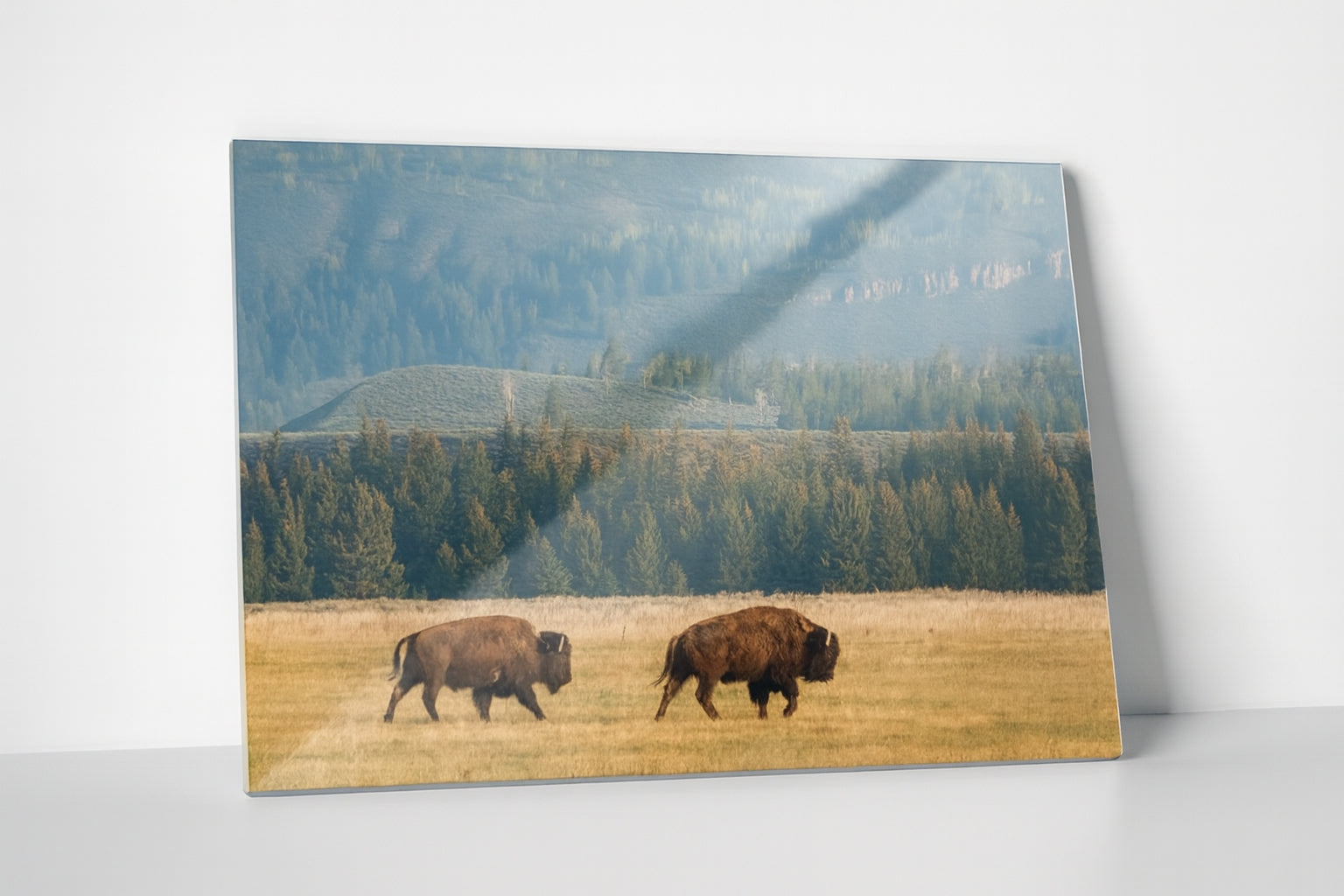 Buffalo Landscape Metal Print – Nature Photography Wall Art, Ranch & Cabin Decor