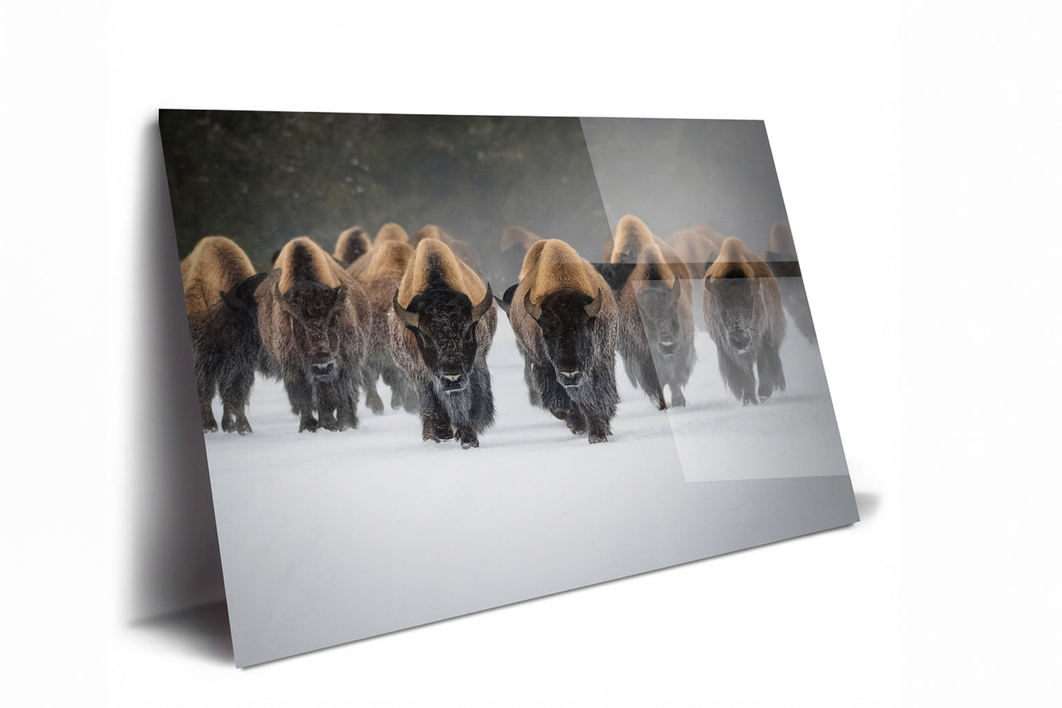 Charging Bison Herd Metal Print – Buffalo Winter Landscape Wall Art for Western & Ranch Decor
