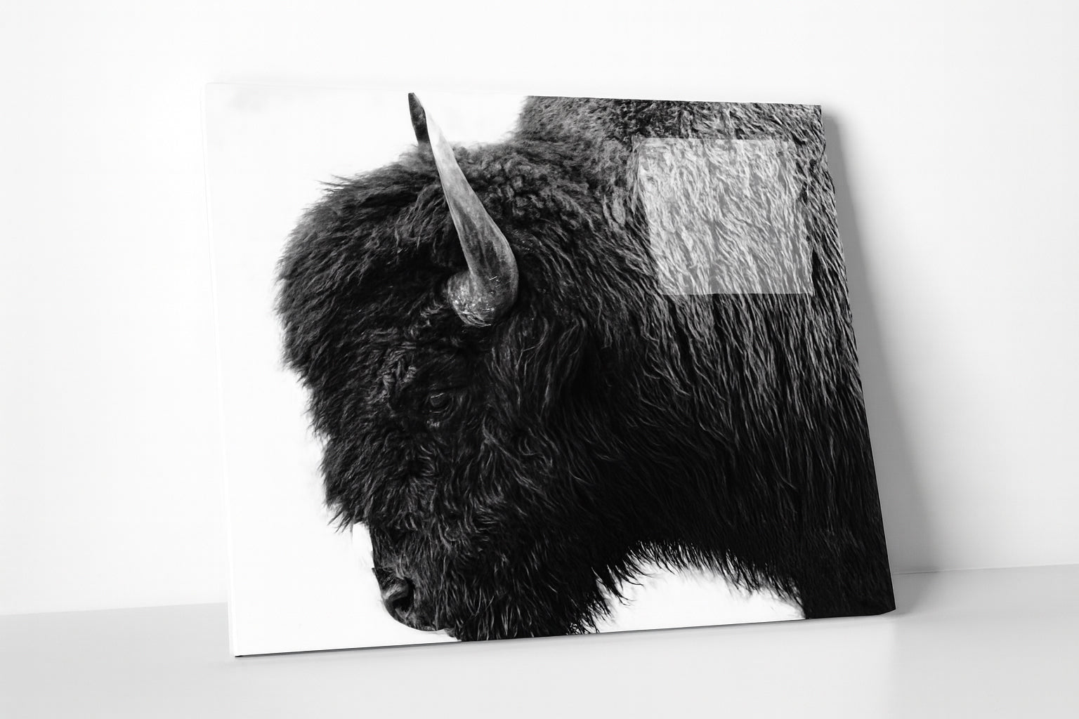 Buffalo Portrait Metal Print – Monochrome Bison Photo, Rustic Farmhouse & Ranch Decor
